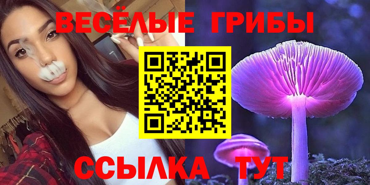 Галлюциногенные грибы GOLDEN TEACHER  как найти наркотики  Верхний Уфалей  Вход с VPN 